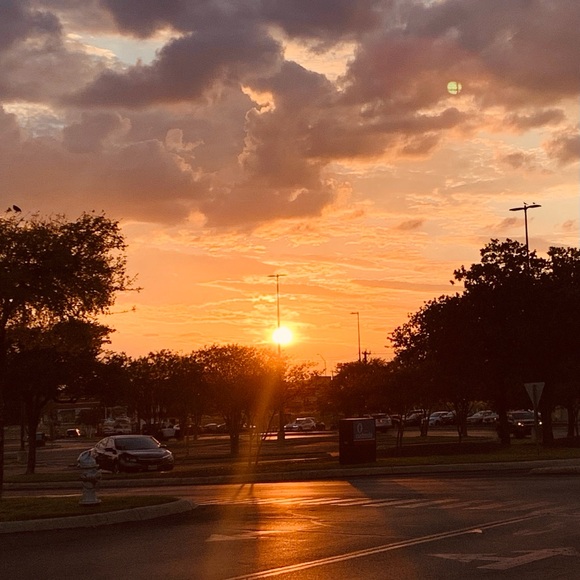 Meet your Posher, Sandra - Picture 4 of 8